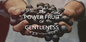 The Power Fruit of Gentleness